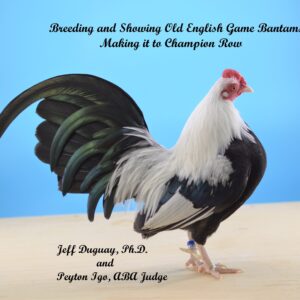 Breeding and Showing Old English Game Bantams: Making it to Champion Row