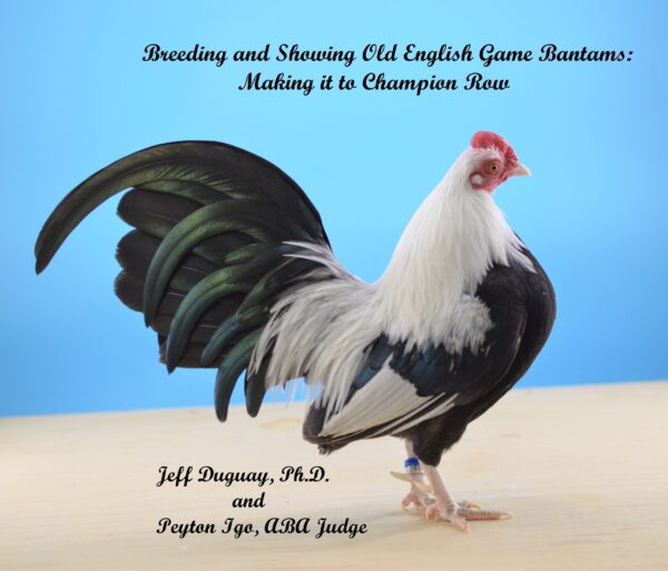 Breeding and Showing Old English Game Bantams: Making it to Champion Row