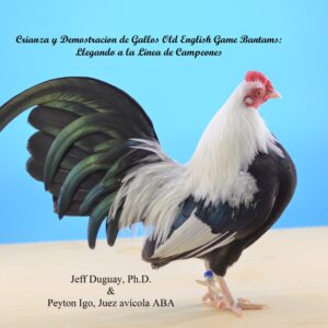 Crianza y Demostracion de Gallos Old English Game Bantams: Llegando a la Linea de Campeones