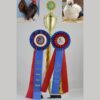 Bantams: A Decade of Winners - Image 2