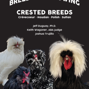 Breeding and Showing Crested Breeds: Crevecoeur, Houdan, Polish, Sultan