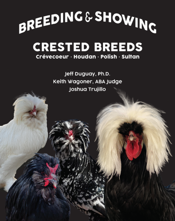 Breeding and Showing Crested Breeds: Crevecoeur, Houdan, Polish, Sultan